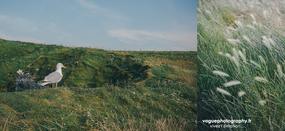 French wedding photographer same sex ; mariage gay homme au domaine saint clair le donjon à Etretat hotel luxe privatisé et à la mairie de Fécamp par Emmanuelle Auzou photographe mariage Normandie Dieppe Caen Deauville Rouen Paris France entière : mariage franco-anglais