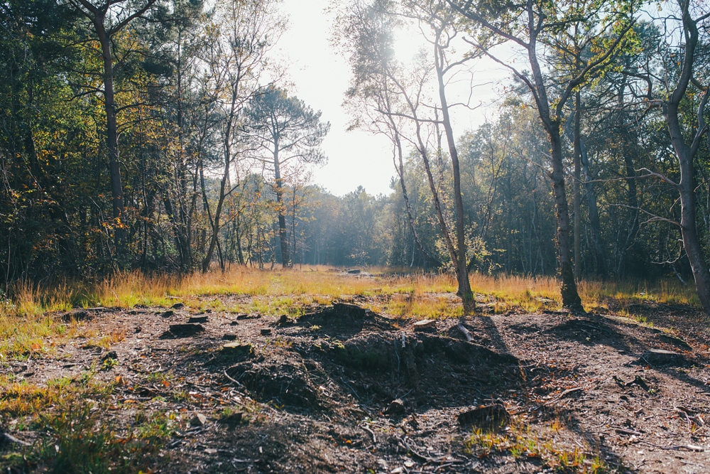 vogue-photography-emmanuelle-auzou-seance-famille-enfants-foret-nature-rouen-dieppe-normandie vogue-photography-emmanuelle-auzou-seance-famille-enfants-foret-nature-rouen-dieppe-normandie